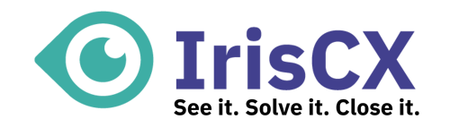 Logo See it tagline